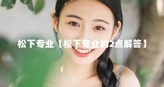 松下专业【松下专业的2点解答】