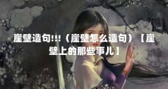 崖壁造句!!!(崖壁怎么造句)【崖壁上的那些事儿】