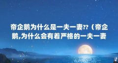 帝企鹅为什么是一夫一妻??(帝企鹅,为什么会有着严格的一夫一妻制?)【帝企