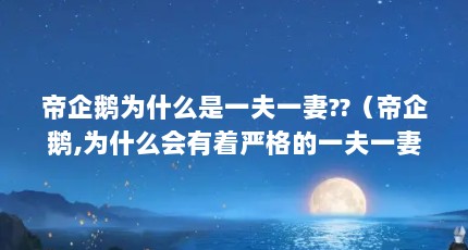 帝企鹅为什么是一夫一妻??（帝企鹅,为什么会有着严格的一夫一妻制?）【帝企鹅为什么要一夫一妻制？】