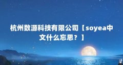 杭州数源科技有限公司【soyea中文什么