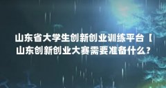 山东省大学生创新创业训练平台【山东创新创业大赛需要准备什么？】