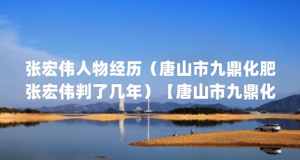 张宏伟人物经历（唐山市九鼎化肥张宏伟判了几年）【唐山市九鼎化肥张宏伟判了几年】