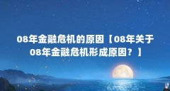08年金融危机的原因【08年关于08年金融危机形成原因？】