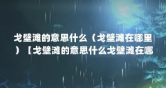 戈壁滩的意思什么(戈壁滩在哪里)【戈壁滩的意思什么戈壁滩在哪里】