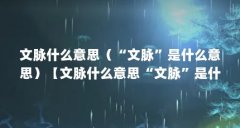 文脉什么意思(“文脉”是什么意思)【文脉什么意思“文脉”是什么意思】