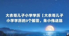 大衣哥儿子小学学历【大衣哥儿子小学学历的3个解答,朱小伟送陈萌回娘家】