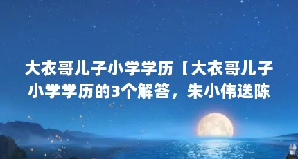 大衣哥儿子小学学历【大衣哥儿子小学学历的3个解答，朱小伟送陈萌回娘家】