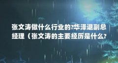 张文涛做什么行业的?华泽退副总经理