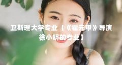 卫斯理大学专业【《霍元甲》导演徐小明的专业】