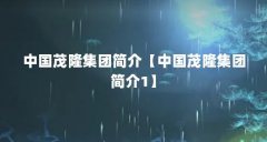 中国茂隆集团简介【中国茂隆集团简介1】