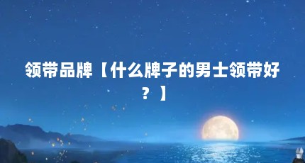 领带品牌【什么牌子的男士领带好？】