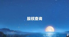 股权查询
