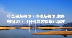 什么是灰指甲(小病灰指甲,危害却很大!)【什么是灰指甲小病灰指甲,危害却很