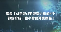 猪金【cf手游cf手游猪小排的4个部位介绍,猪小排的外表颜色】