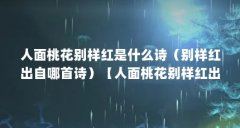 人面桃花别样红是什么诗(别样红出自哪首诗)【人面桃花别样红出自哪首诗别