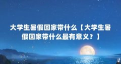 大学生暑假回家带什么【大学生暑假回家带什么最有意义?】