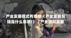 产业发展模式有哪些(产业发展包括是什么意思?)【产业协同发展模式有哪些