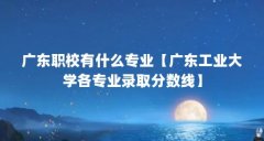 广东职校有什么专业【广东工业大学各专业录取分数线】