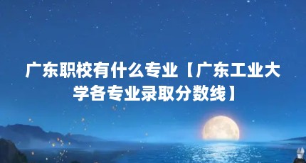 广东职校有什么专业【广东工业大学各专业录取分数线】