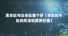 黑羊肚与白羊肚哪个好【羊肚和牛肚的吃法和营养价值】