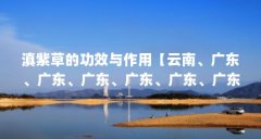 滇紫草的功效与作用【云南、广东、广东、广东、广东、广东、广东、广东、广