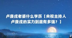 卢庚戌老婆什么学历【央视主持人卢庚戌的实力到底有多强?】