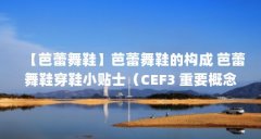 【芭蕾舞鞋】芭蕾舞鞋的构成 芭蕾舞鞋穿鞋小贴士（CEF3 重要概念）【cef3进程