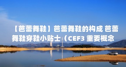 【芭蕾舞鞋】芭蕾舞鞋的构成 芭蕾舞鞋穿鞋小贴士（CEF3 重要概念）【cef3进程管理】