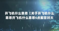 开飞机什么意思【关于开飞机什么意思开飞机什么意思5点解答对大家有用】