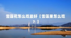 雪莲花怎么吃最好【雪莲果怎么吃?】