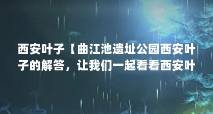 西安叶子【曲江池遗址公园西安叶子的解答，让我们一起看看西安叶子的解答】