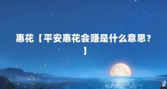 惠花【平安惠花会赚是什么意思？】