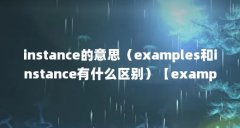instance的意思（examples和instance有什么区别）【examples和instance有什么区别】
