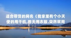 适合带货的网名（我家里有个小天使的甩干机,昨天甩衣服,突然就用不了,转都不