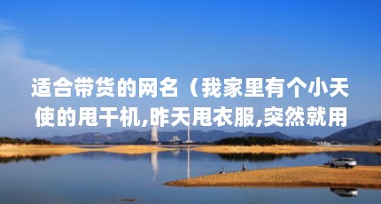 适合带货的网名（我家里有个小天使的甩干机,昨天甩衣服,突然就用不了,转都不转了?就听 ...）【小天使好物折扣店的美白护肤好物折扣店的解答，让你白到发光】