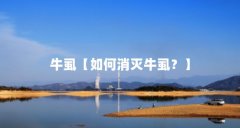 牛虱【如何消灭牛虱？】
