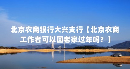 北京农商银行大兴支行【北京农商工作者可以回老家过年吗？】
