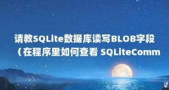 请教SQLite数据库读写BLOB字段（在程序里如何查看 SQLiteCommand 最后执行的SQL语句