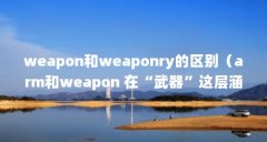 weapon和weaponry的区别（arm和weapon 在“武器”这层涵义上有什么区别?）【cweapon和