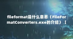 fileformat是什么意思（FileFormatConverters.exe的介绍）【fileformatconverters.exe介绍】
