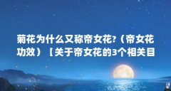 菊花为什么又称帝女花?(帝女花功效)【关于帝女花的3个相关目录:帝女花的
