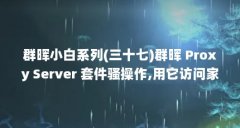 群晖小白系列(三十七)群晖 Proxy Server 套件骚操作,用它访问家里的内 ...(Proxy