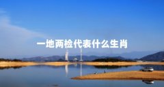 一地两检代表什么生肖