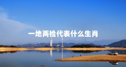 一地两检代表什么生肖