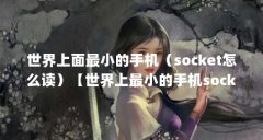 世界上面最小的手机(socket怎么读)【世界上最小的手机socket怎么读io异常】