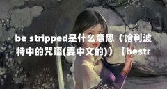 be stripped是什么意思(哈利波特中的咒语(要中文的))【bestripped是什么意思】