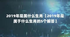 2019年是属什么生肖【2019年是属于什么生肖的5个解答】