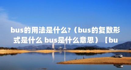 bus的用法是什么?（bus的复数形式是什么 bus是什么意思）【bus的复数形式是什么bus是什么意思】