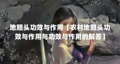 地胆头功效与作用【农村地胆头功效与作用与功效与作用的解答】